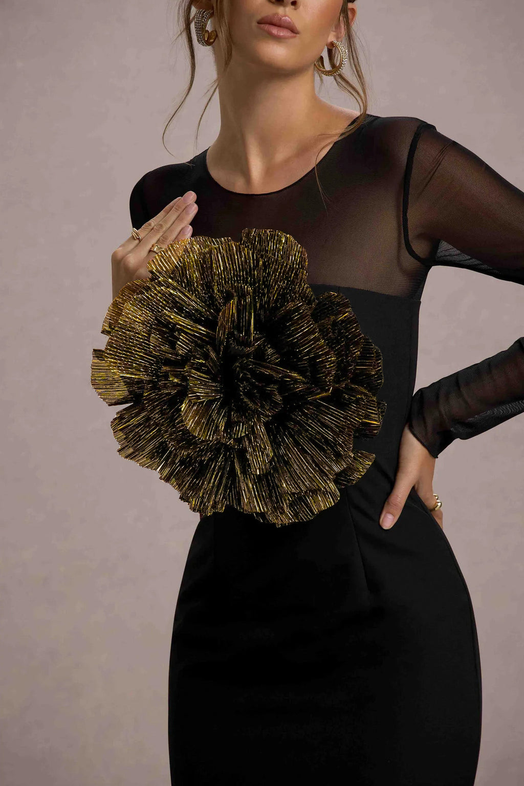 Ruchi | Black Sheer Mini Dress With Corsage Detail
